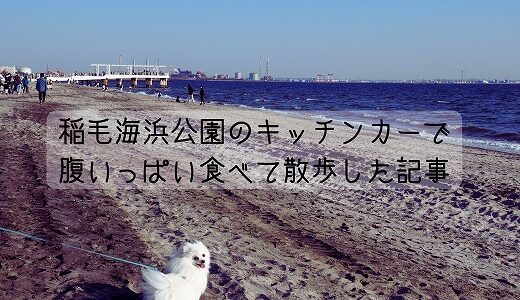 【千葉市・愛犬と海岸散歩】稲毛海浜公園のキッチンカーでお腹いっぱい食べて散歩した記事・天気良すぎて写真多め